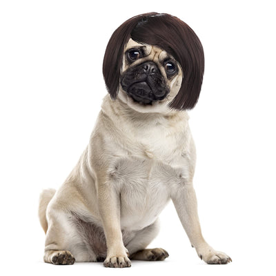 Cobee Pet Cosplay Fun Adjustable Wig